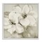 Stupell Industries Subtle Beige Magnolias Framed Giclee, design by Lanie Loreth